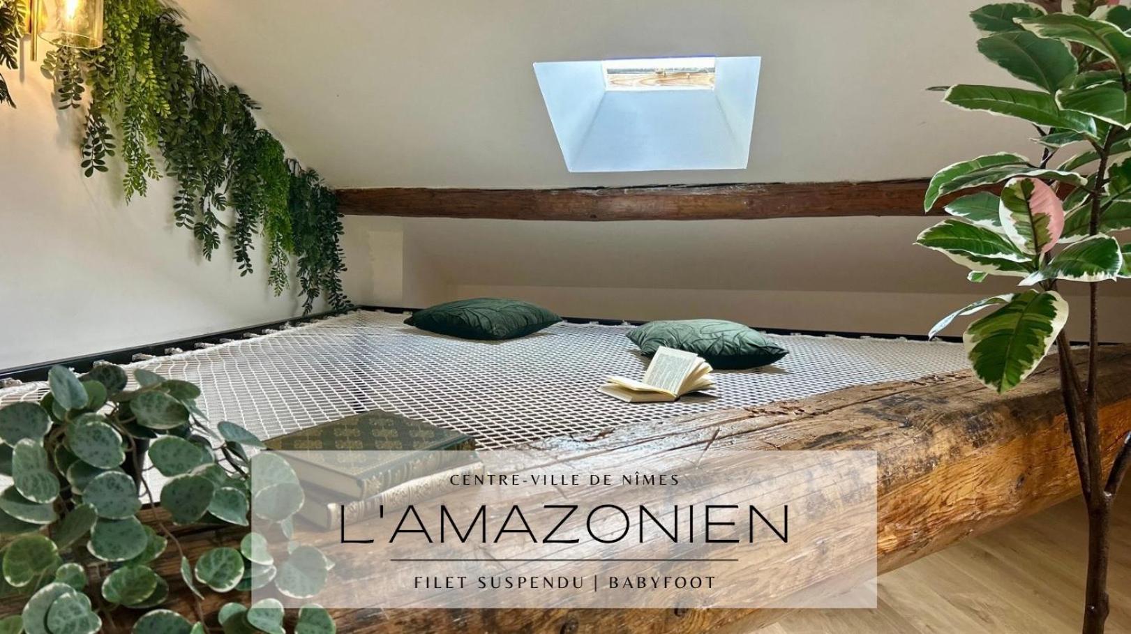 L'Amazonien - Baby-Foot Et Filet De Detente ! 尼姆 外观 照片